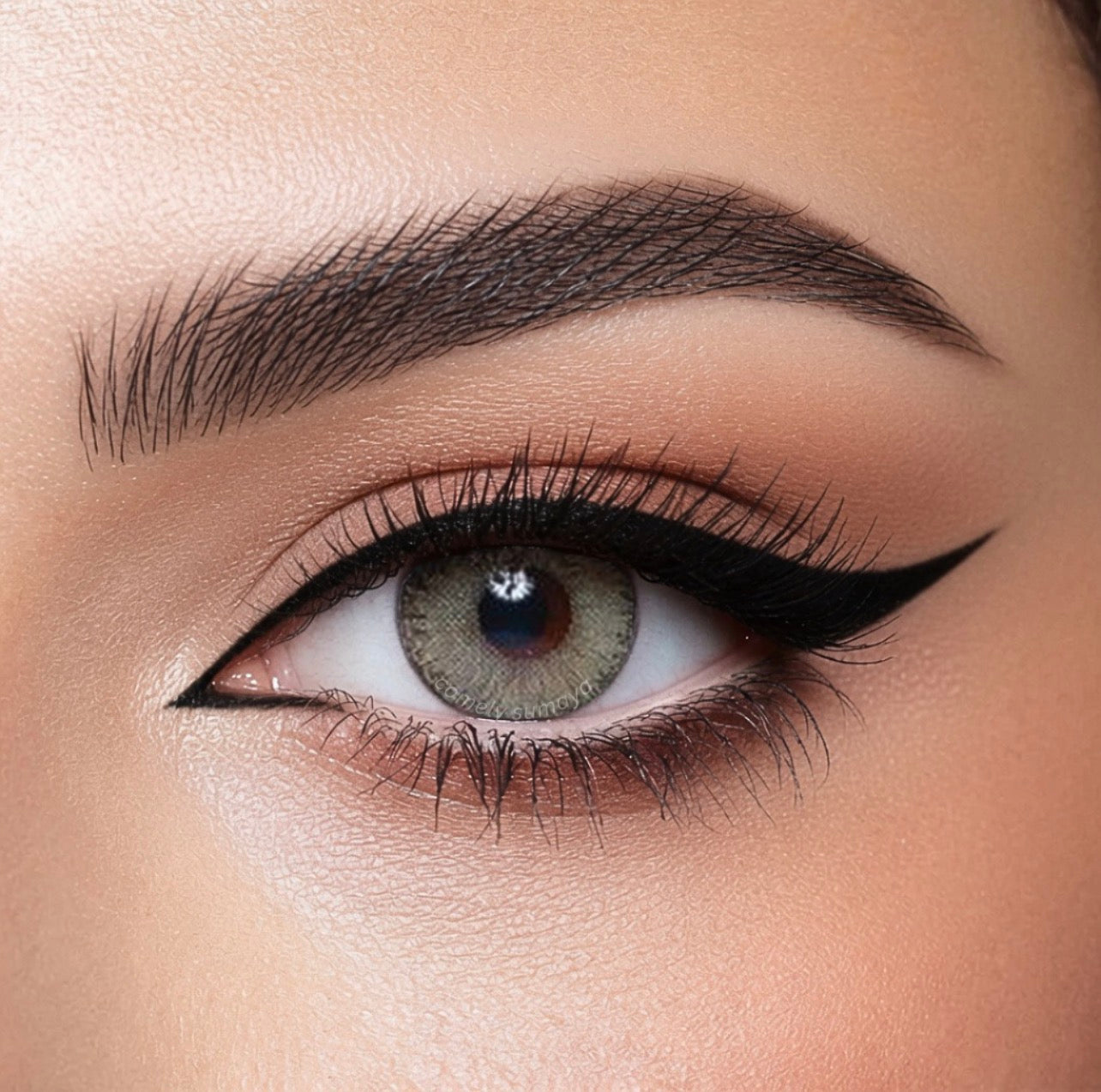 Bella Elite Grey Olive colored contact lens