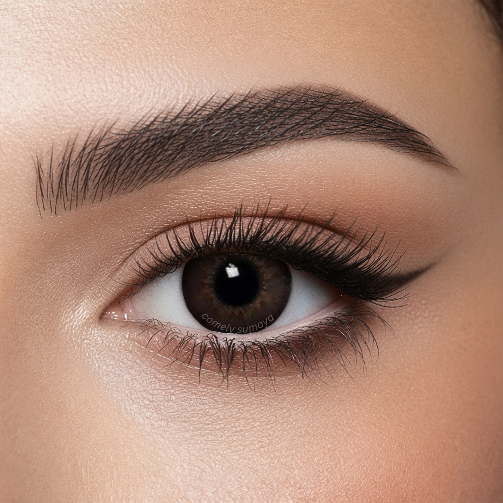 Bella Highlight Circle Brown colored contact lens